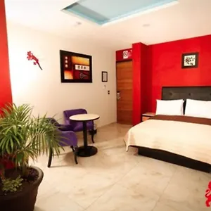 Leones 4* Puebla